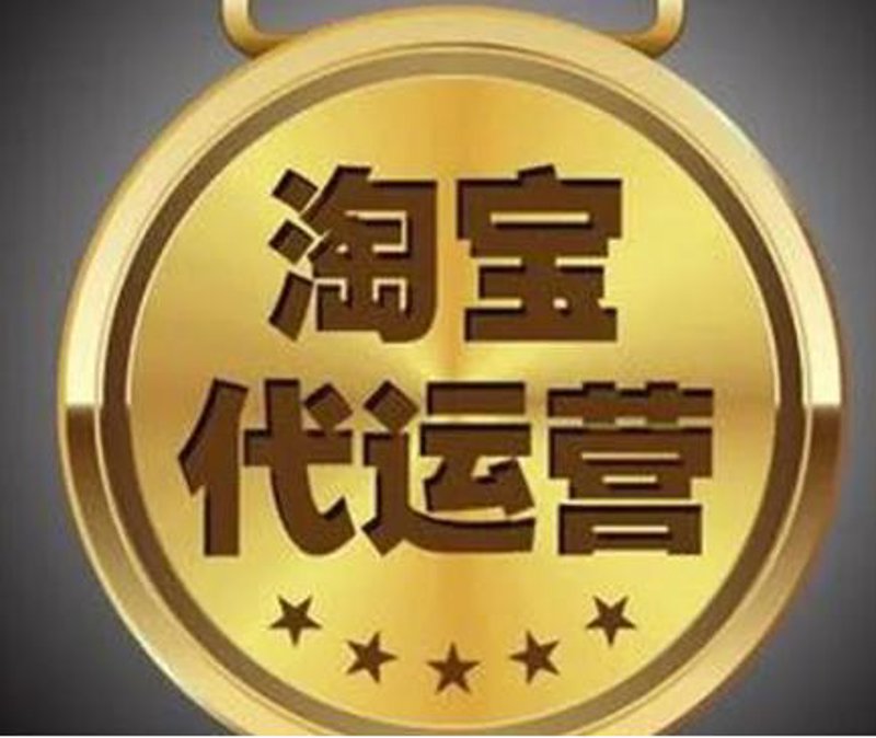 个体工商户电商崛起：抓住数字经济时代机遇